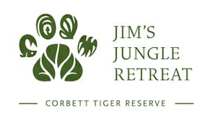 Jim's Jungle Retreat